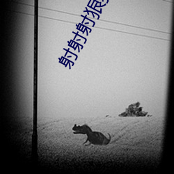 射射射狠狠幹