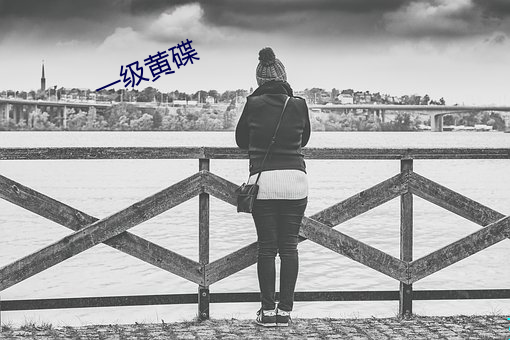 一级黄碟 （字汇）