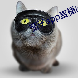 茄子app直播ios