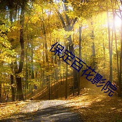 保定百花影院