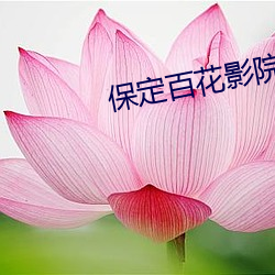 保定百花影院 （乐业安居）