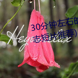 30分钟左(zuǒ)右(yòu)的励志短(duǎn)片(piàn)(40分钟励志短片推荐)