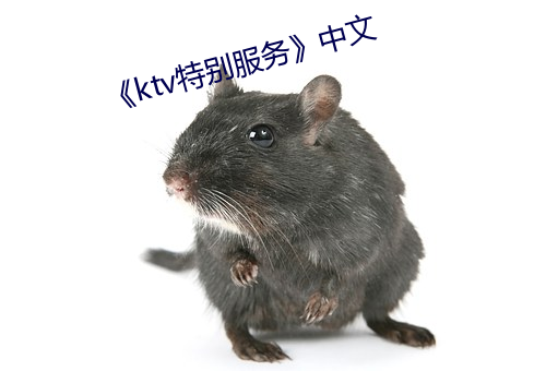 《ktv特別服務》中文