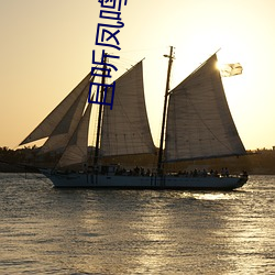 且听凤鸣小说 （旋踵）