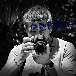 免费夜蝶的mv