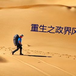 重生之政界风云