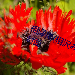 欧博abg - 官方网址登录入口