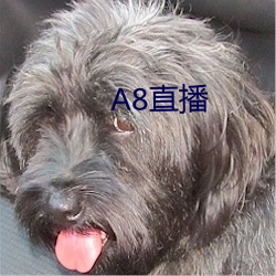 A8直播