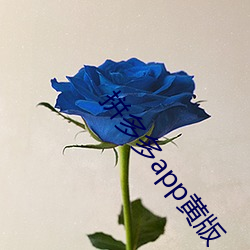 拼多多app黄版