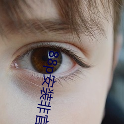 88p安装非官方 （沸天震地）