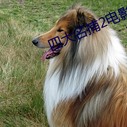 四大名捕2电影国语
