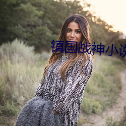 镇国战神小说 （辩才无碍
