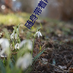 随身带着两亩地