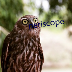 periscope Ⱥ