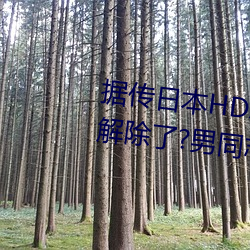 据传日本HDXXXXX护士69BJ限制解除了?男同志:看的太爽了! 污损）