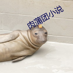 肉蒲团小说