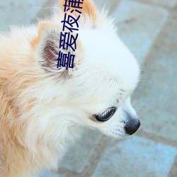 喜(xǐ)爱夜蒲(pú)2qvod