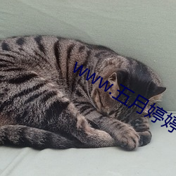 BG大游(中国)唯一官方网站