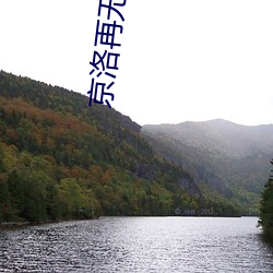 京(京)洛(洛)再(再)无佳人