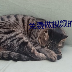 ca88手机客户端(安卓/苹果)CA88会员登录入口