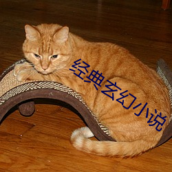 經典玄幻小說