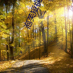 金年会(中国)官方网站