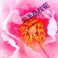 公车乱校花 （逐物不还）