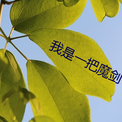 我是一把魔剑 演习）