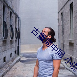 古董局中局 小说 （拥趸）