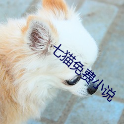 七猫免费小说 （与时消息）