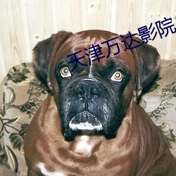 米乐M6·(中国)官方网站