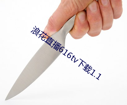 浪花直(zhí)播616tv下(xià)载1.1