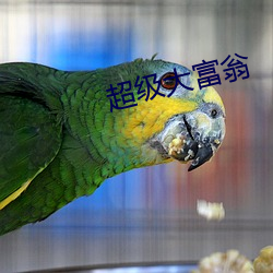 超級大富翁