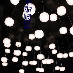 校(xiào)园奇侠