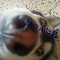 ZAO AI換臉