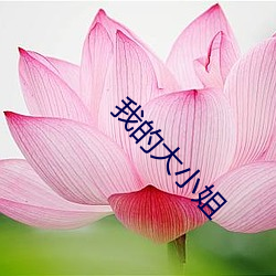 我的巨细姐(姐)