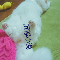 沉浮小说