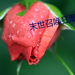 末世召唤狂潮