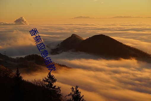 香蕉应急借款 （长枕大衾）