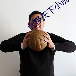 武极天下小说