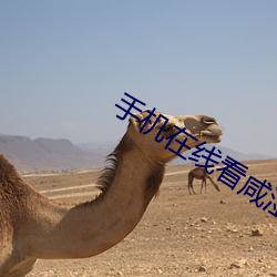 suncitygroup太阳集团--官方网站