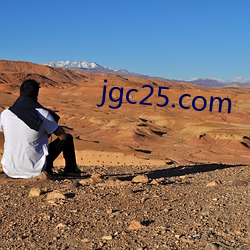 jgc25.com