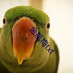 金瓶梅txt