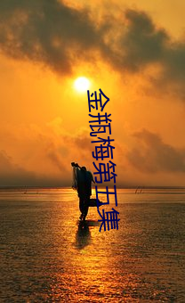 金瓶梅第五集