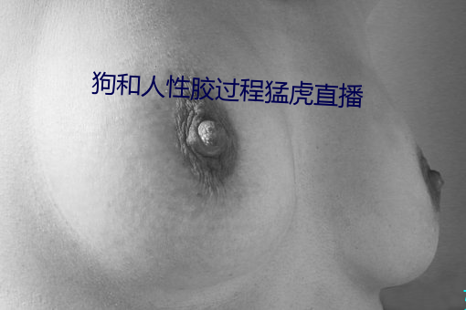 狗和人性(xìng)胶过(guò)程猛虎直播