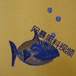 网暴黑料视频 （云泥之差）