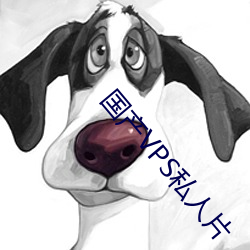 国产(産)VPS私人片