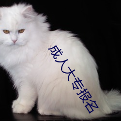 成人大专报名