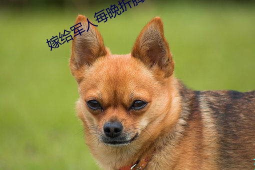 嫁给军人每晚折腾