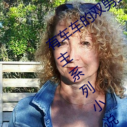 有车车的双男主腐文有哪些 直掰弯双男主系列小说推荐 （买犊卖刀）